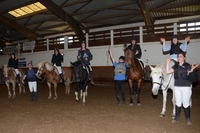 Rencontres amicales equitation